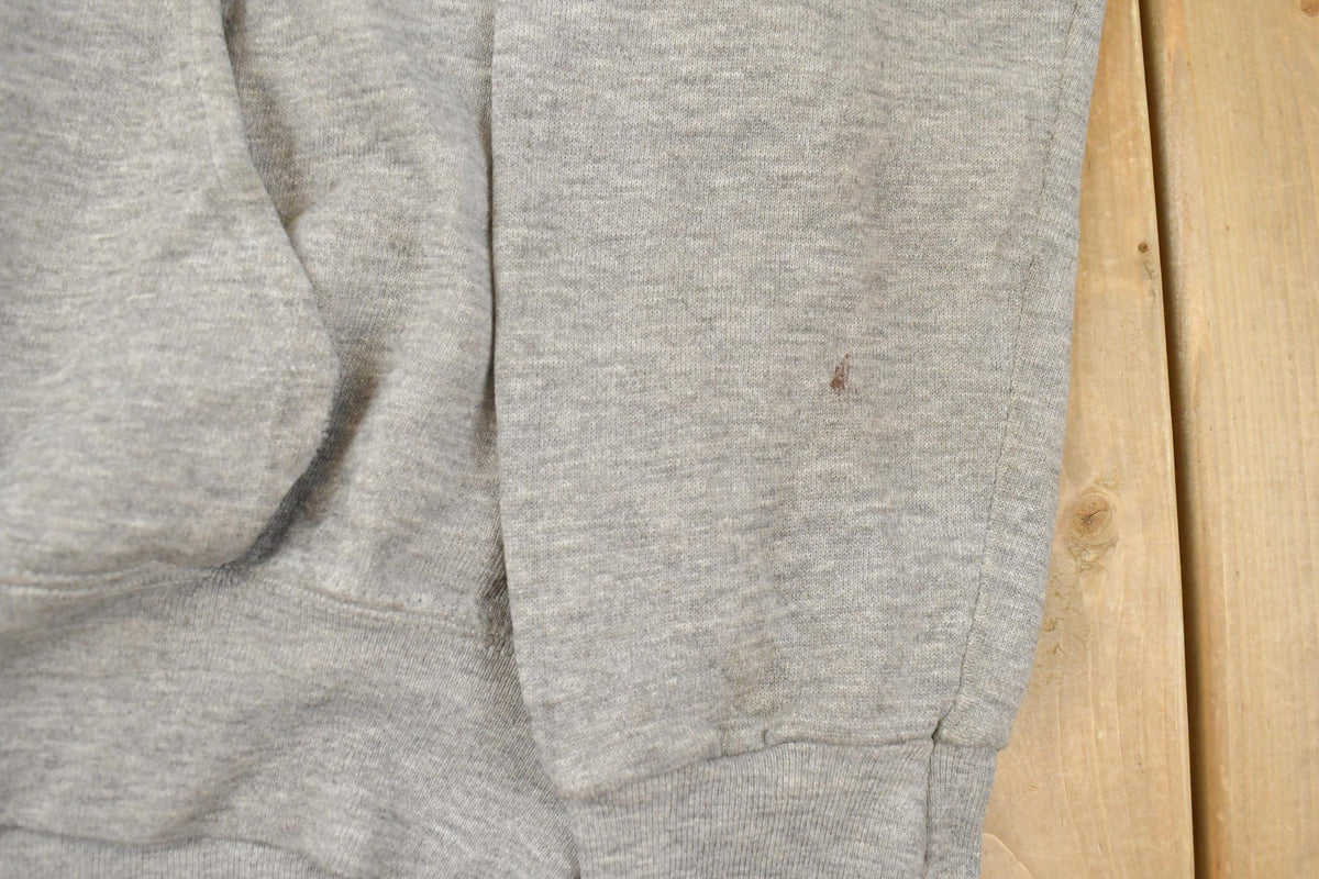 Vintage 1990s Rensselaer Polytechnic Institute Collegiate Hoodie Sweatshirt Men's S