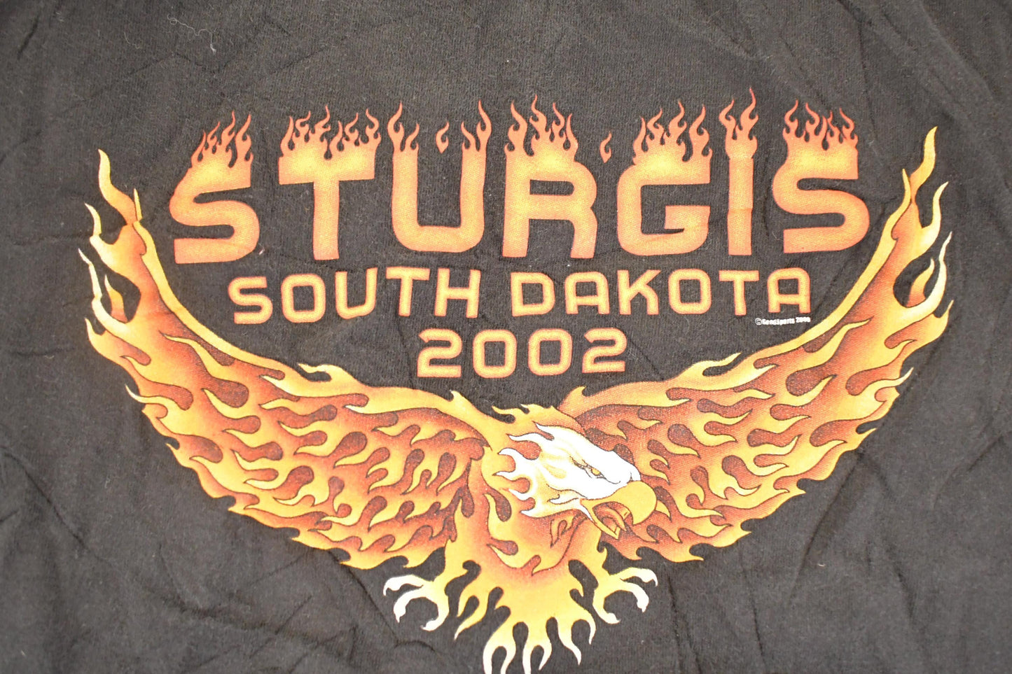 Vintage 2002 Harley Davidson Motorcycles Biker Sturgis Sleeveless T-Shirt Men's L