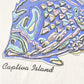 Vintage 1990's Captiva Island Fish Souvenir Travel T-Shirt Men's XL