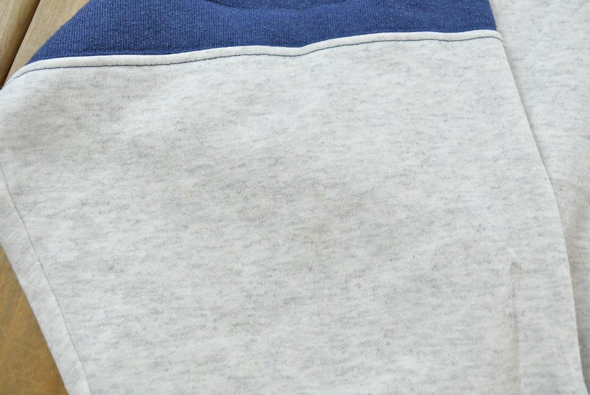 Vintage 1990s Artisans Elroy-Sparta Wisconsin Souvenir Quarter Zip Embroidered Hoodie Sweatshirt Mens XL / 90's Destination Streetwear