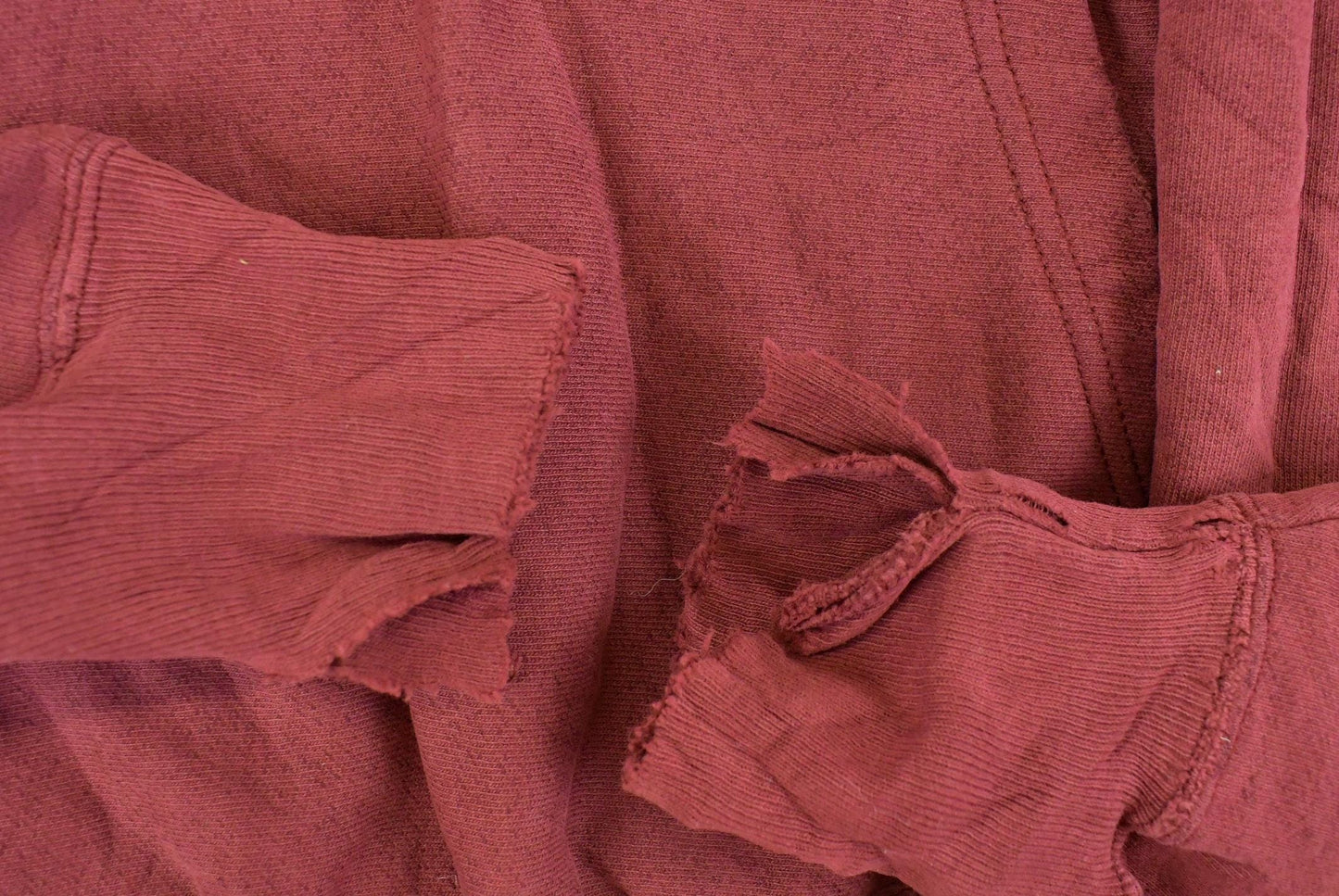 Vintage 1990s Champion Premium Reverse Weave University of Minnesota Hoodie Men's Large