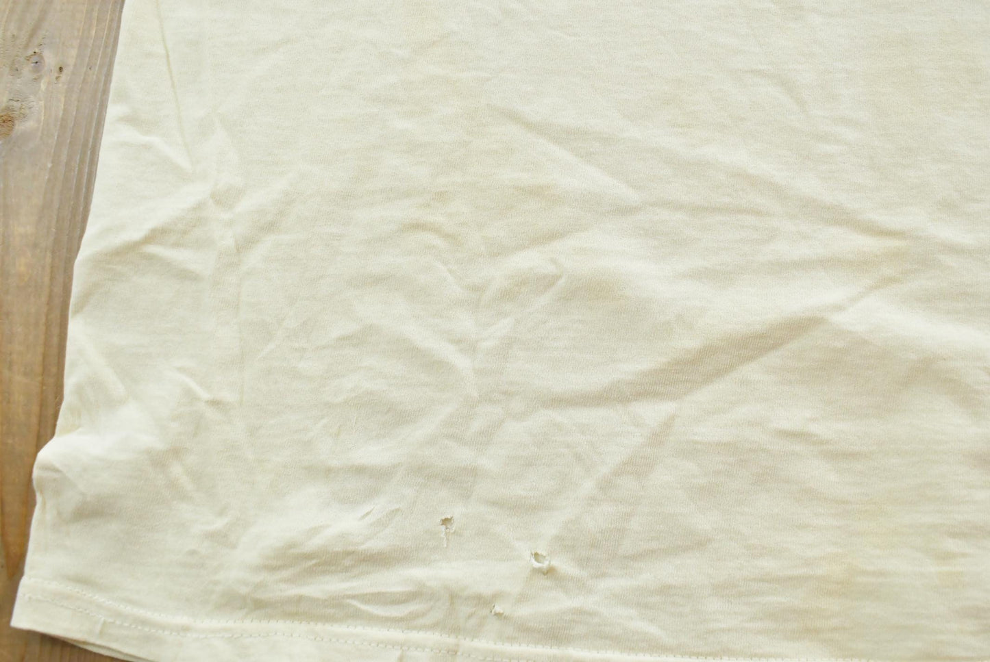 Vintage 1990s Arizona Desert Cactus T-Shirt Mens M