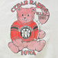 Vintage 1991 Cedar Rapids Iowa Teddy Bear Crewneck Sweatshirt Mens Medium