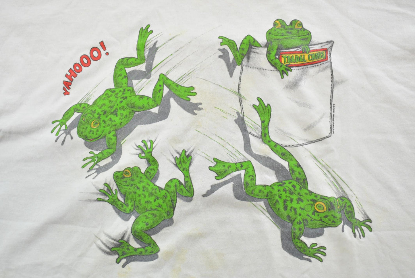 Vintage 1990s Tree Frog Outdoorsman T-Shirt Mens L