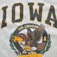 Vintage 1990s University of Iowa Hawkeyes Collegiate Crewneck Sweatshirt Men's XL