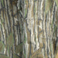Vintage 90s Realtree Camo Jacket Walls Outdoors Blizzard Pruf Men's L Tall
