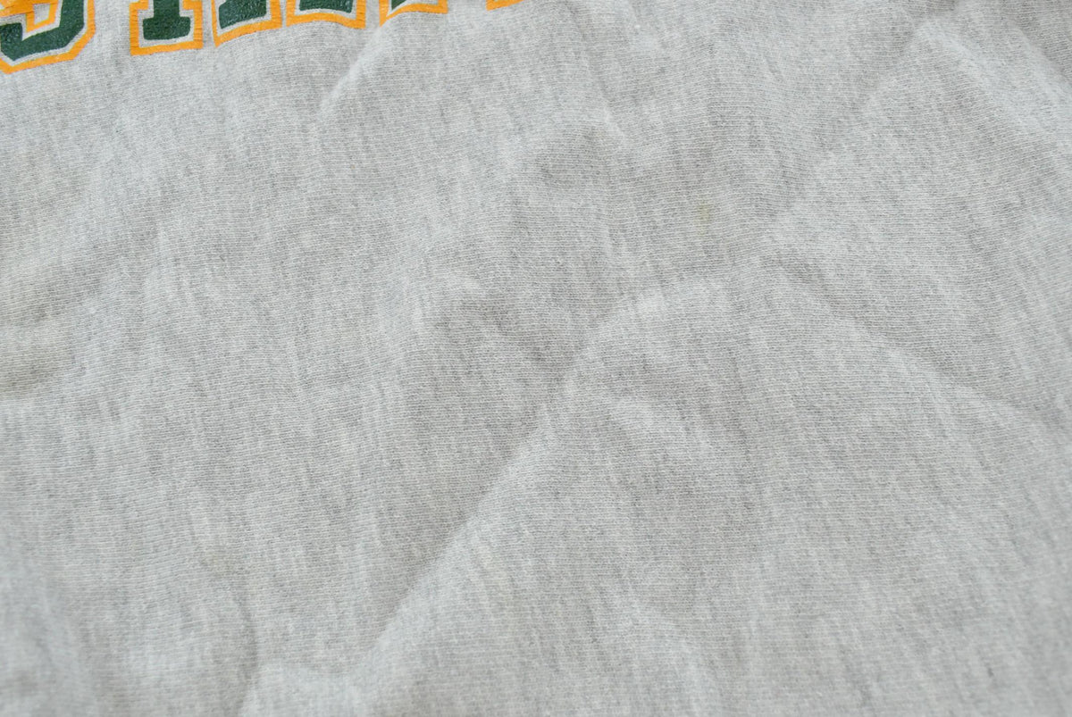 Vintage 1990s Champion Oswego State University Collegiate Reverse Weave Crewneck Sweatshirt Men's M