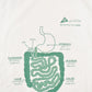 Vintage 1990's Stomach Diagram Souvenir Travel T-Shirt Men's XL