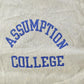 Vintage 1980s Assumption College Champion Reverse Weave Crewneck Sweatshirt Men's M