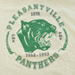 Vintage 1990s Pleasantville Panthers Collegiate Ringer T-Shirt Men's XL