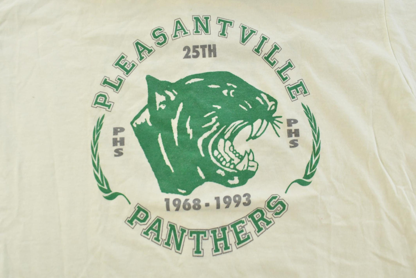 Vintage 1990s Pleasantville Panthers Collegiate Ringer T-Shirt Men's XL