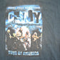 Vintage 2002 Crosby Stills Nash Souvenir Tour Of America T-Shirt Mens XL