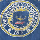Vintage 1990s Distressed University Of Michigan Wolverines Collegiate Crewneck Sweatshirt Men's Large