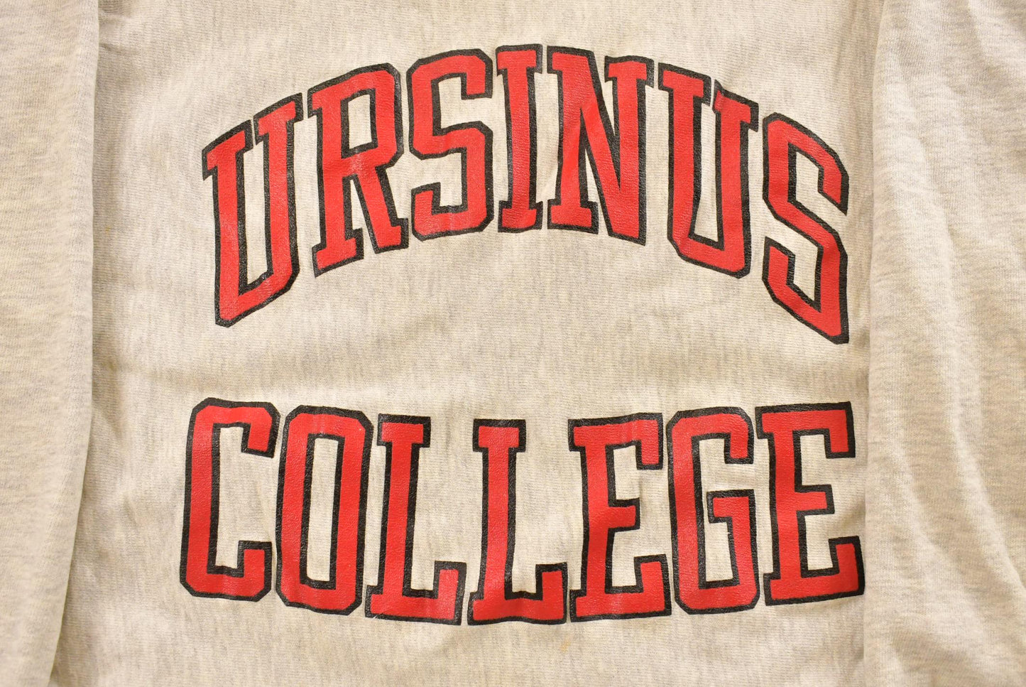 Vintage 1990s Ursinus College Champion Reverse Weave Crewneck Sweatshirt Men's Large