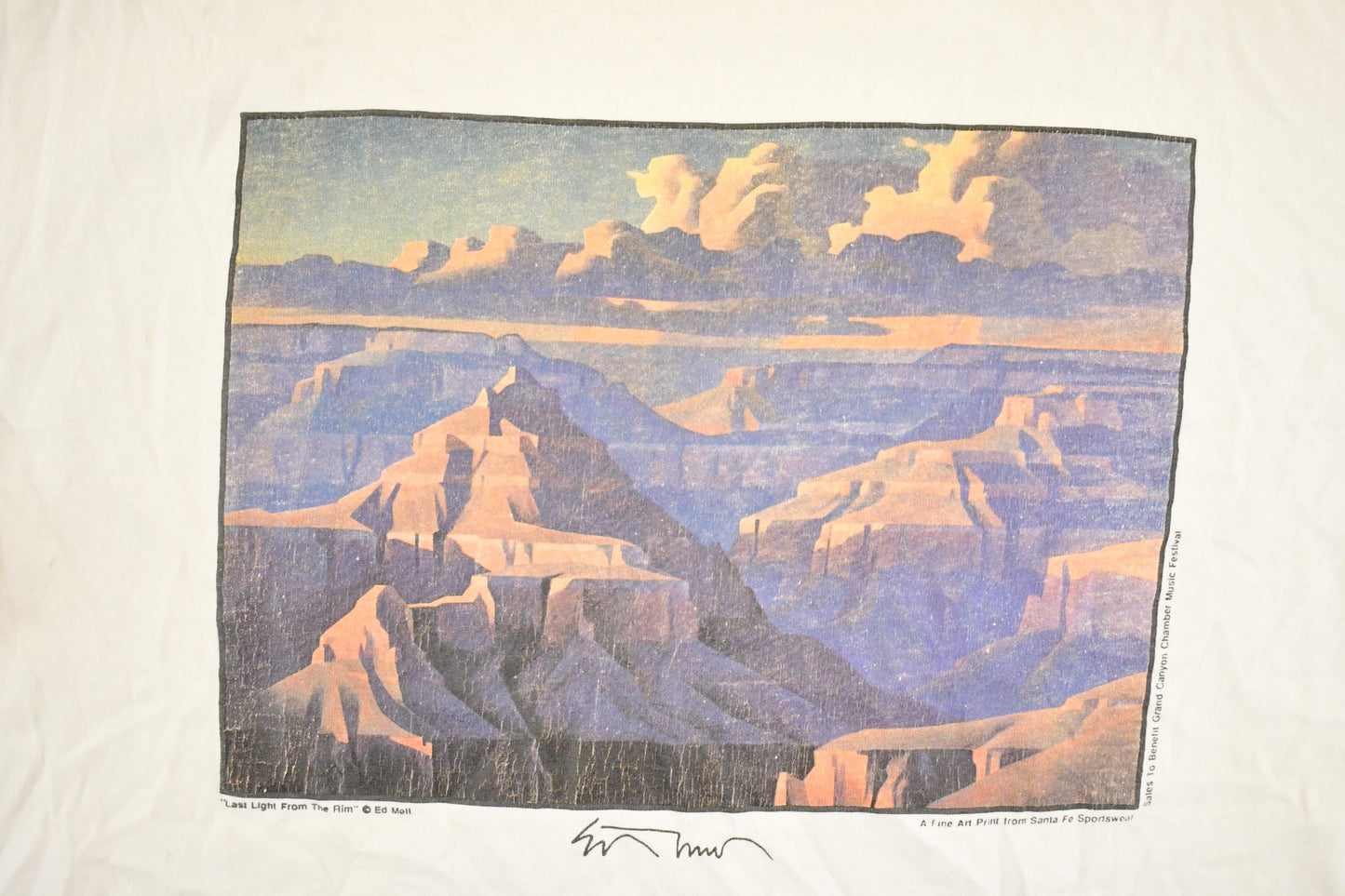 Vintage 1990's Grand Canyon Souvenir Travel T-Shirt Mens L