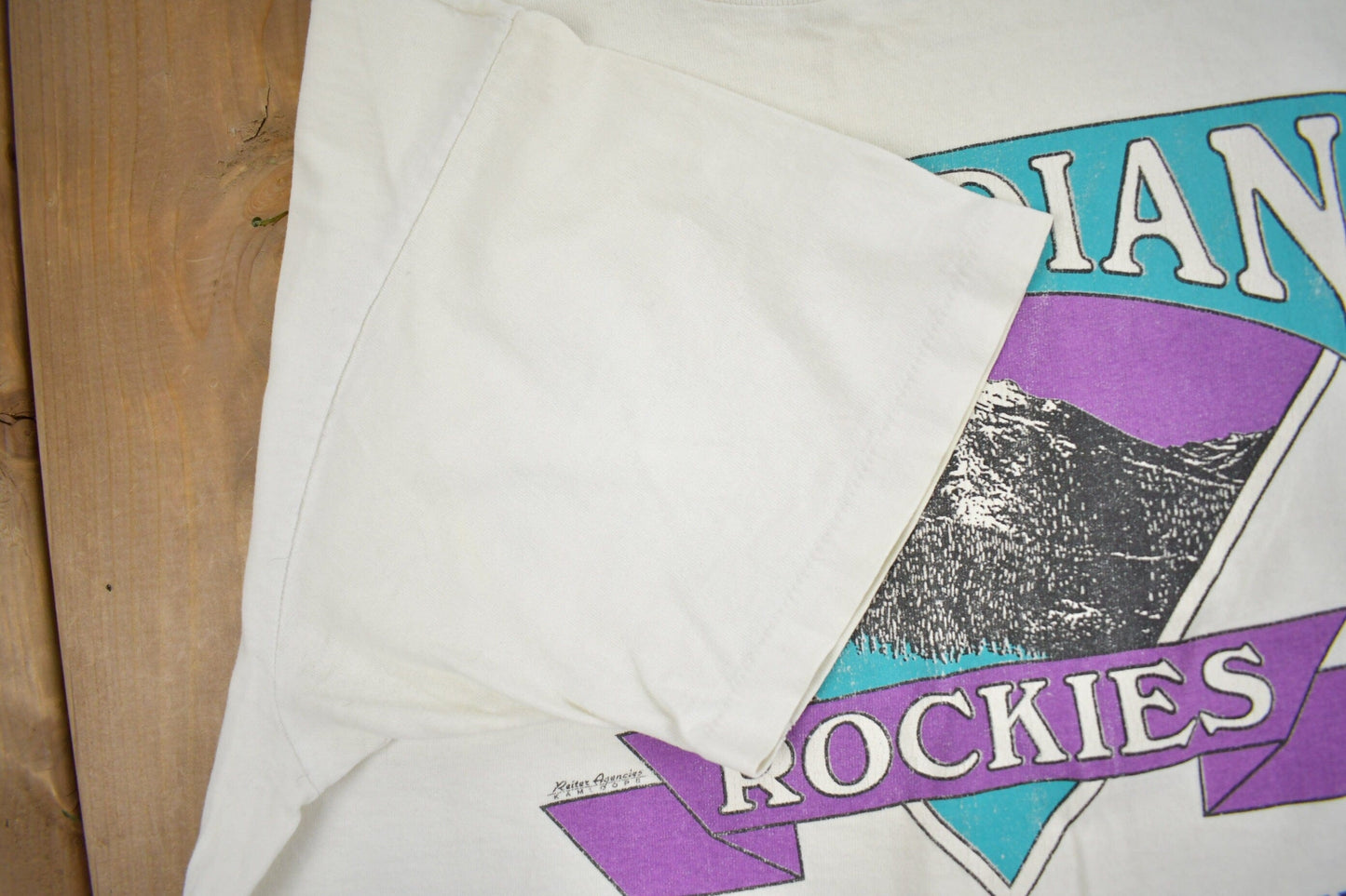 Vintage 1990s Canadian Rockies Golden British Columbia Souvenir T Shirt Men's XL