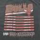 Vintage 1998 Chicago Bulls NBA Finals Basketball Graphic T-Shirt Men's 2XL / Lee Sport / 90s Sportswear / Distressed