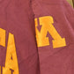 Vintage 2000s Minnesota Golden Gophers Champion Reverse Weave Hoodie Sweatshirt Men's L