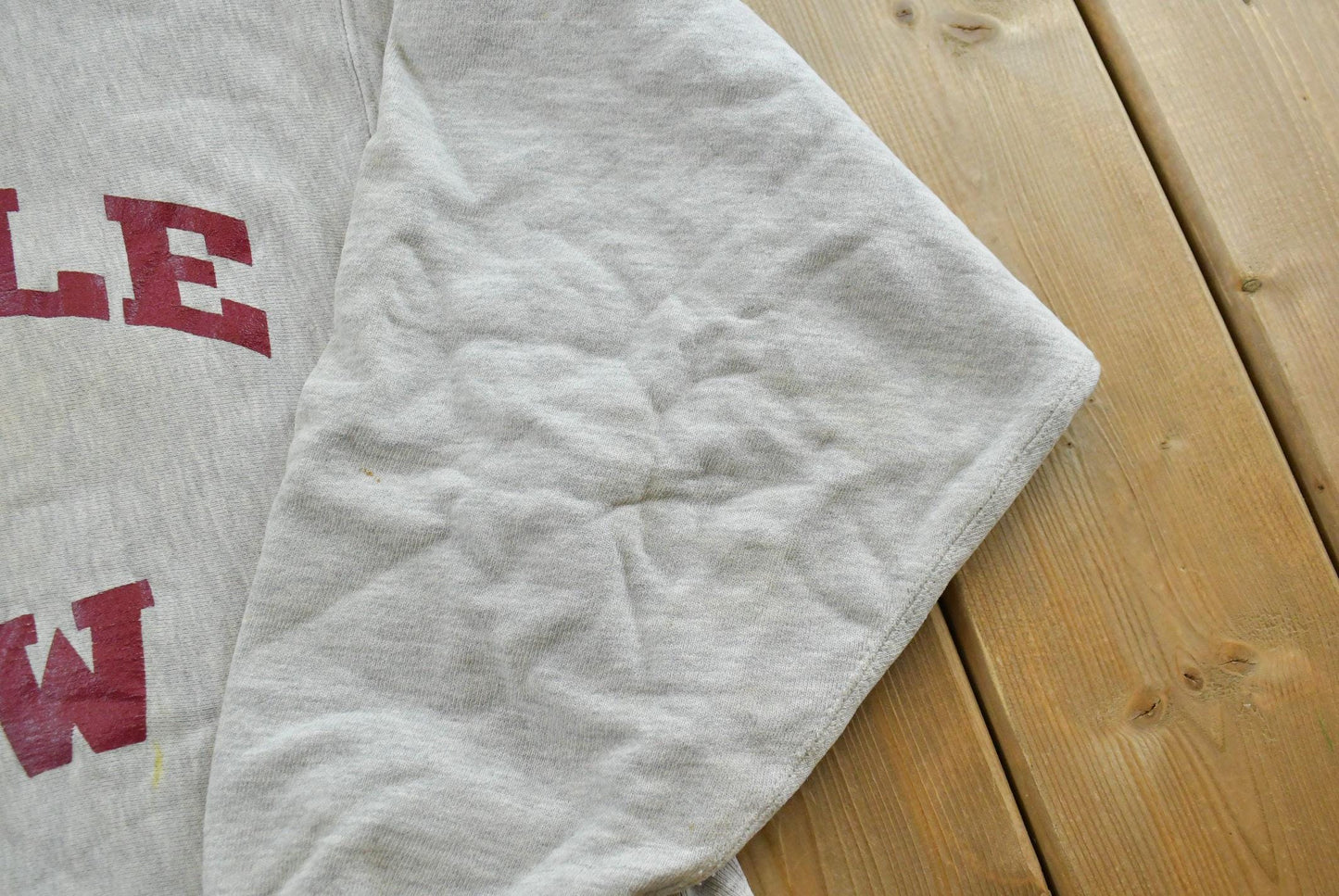 Vintage 1990s Champion Reverse Weave Temple University Owls Crew Hoodie Collegiate Sweatshirt Men's L