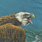 Vintage 1990s Bald Eagle Nature Graphic T-Shirt Men's XL Men's Large