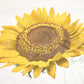 Vintage 1990's Deadstock Sunflowers Souvenir Travel T-Shirt Women's L