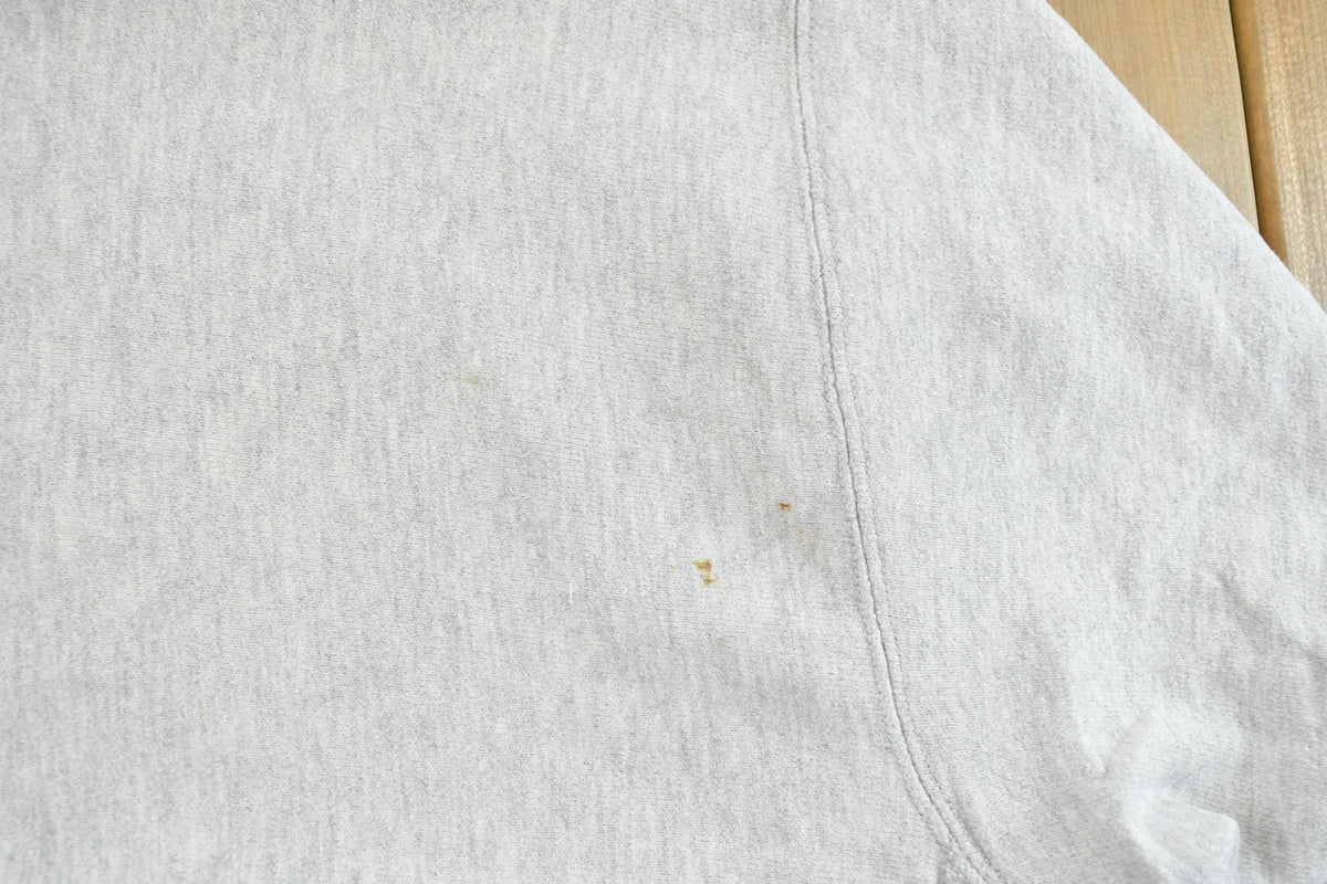 Vintage 1980s Colgate University Champion Reverse Weave Hoodie Men's Large / 80s College Sweatshirt / Made In USA