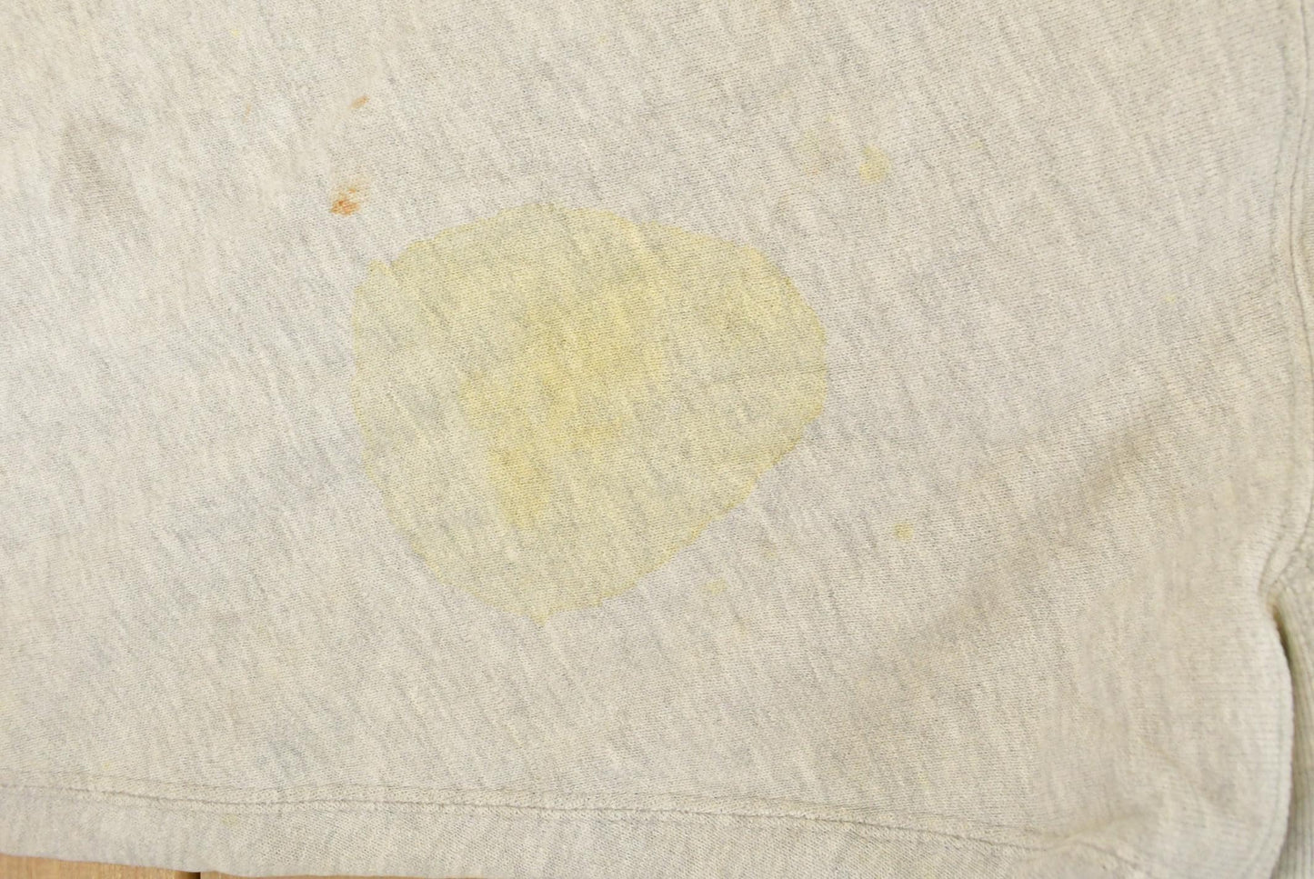 Vintage 1990s Champion Reverse Weave University of Ohio State Buckeyes Collegiate Hoodie Men's XL