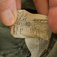Vintage 2000s Carhartt Distressed Canvas Cutoff Shorts Men's 34