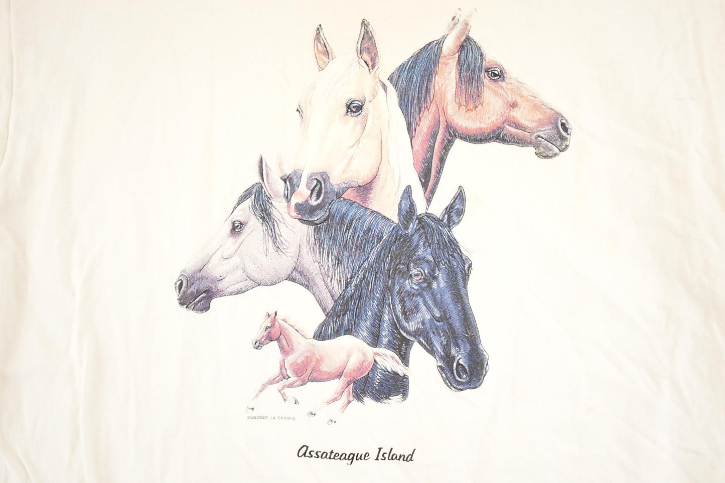 Vintage 1990's Assateague Island Wild Horses Souvenir Travel T-Shirt Men's L