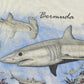 Vintage 1990s Bermuda Shark Travel Souvenir Graphic T-Shirt Men's L