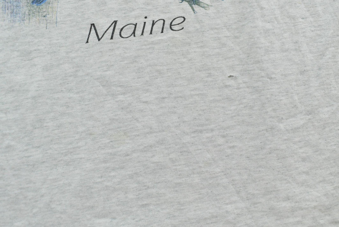 Vintage 1990s Screen Stars Backyard Birds Maine T-Shirt Mens M