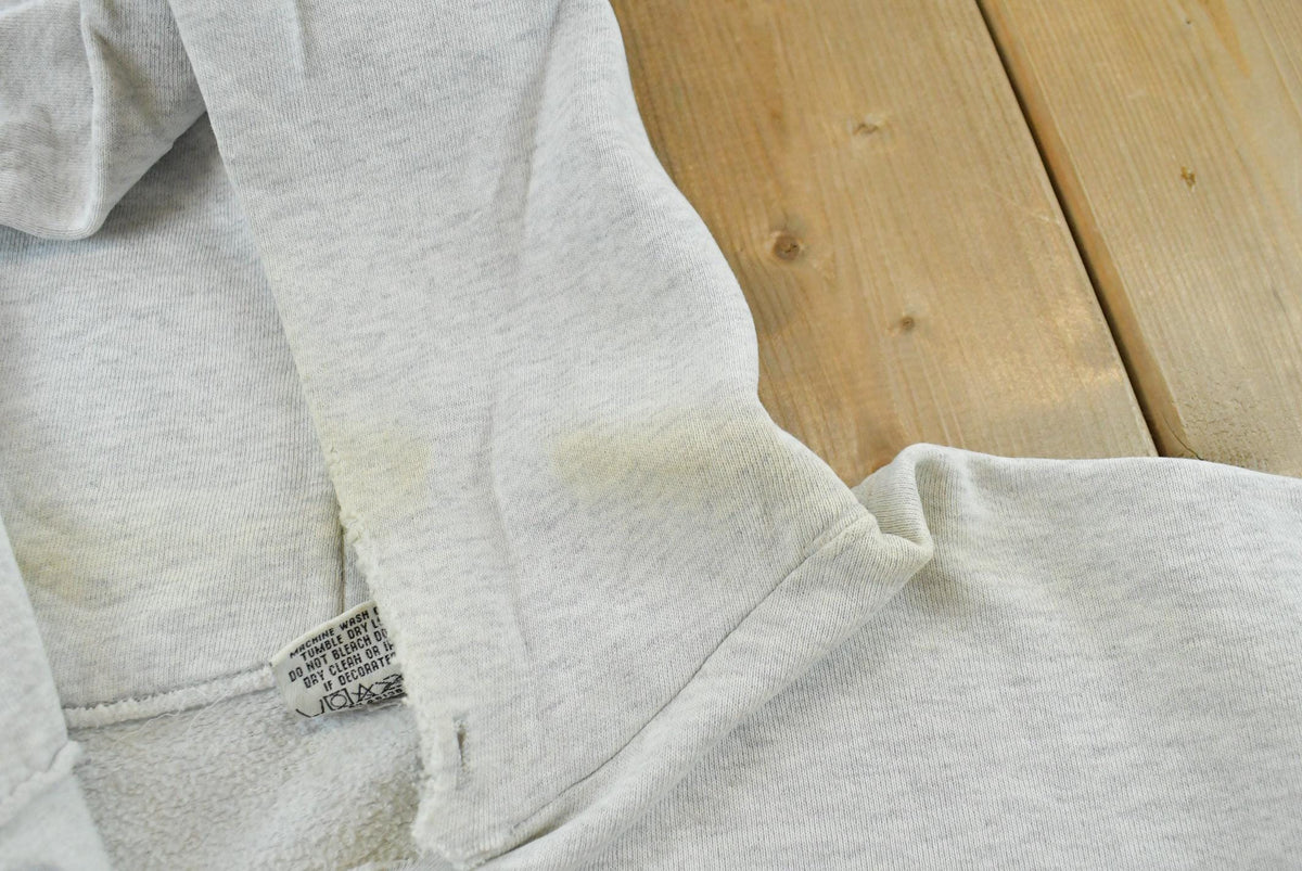 Vintage 1990s Nutmeg Mills Penn State University Atheltics Hoodie Sweatshirt Men's L