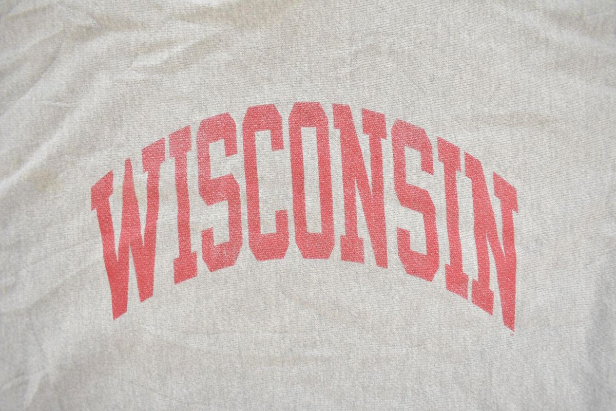Vintage 2000s University Of Wisconsin Champion Reverse Weave Collegiate Crewneck Sweatshirt Men's XL