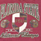 Vintage 1990s Florida State Seminoles Football Collegiate Crewneck Sweatshirt Men's 2XL