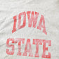 Vintage 1980s Iowa State Champion Reverse Weave Crewneck Sweatshirt Men's Large