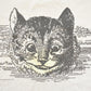 Vintage 1993 Alice In Wonderland Cheshire Cat Illustration Graphic T-Shirt Men's L