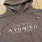 Vintage 1990s Jansport University Of Wyoming Collegiate Cowboys Hoodie Sweatshirt Men's L