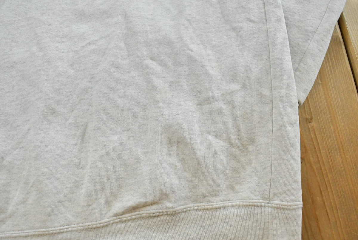 Vintage 1990s Nutmeg Mills Penn State University Atheltics Hoodie Sweatshirt Men's L