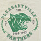 Vintage 1990s Pleasantville Panthers Collegiate Ringer T-Shirt Men's XL