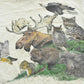 Vintage 1989 Harlequin Forest Animals Nature T-Shirt Men's XL