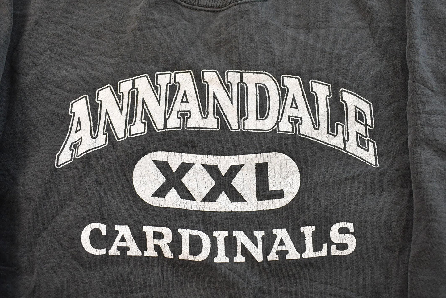 Vintage 1990s Annandale Cardinals Crewneck Sweatshirt Men's L