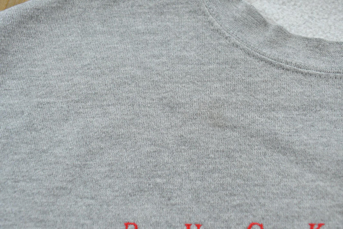 Vintage 1990s Ohio State University Embroidered Collegiate Crewneck Sweatshirt Men's L