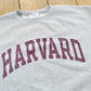 Vintage 2000s Harvard University Champion Collegiate Hoodie Men's L