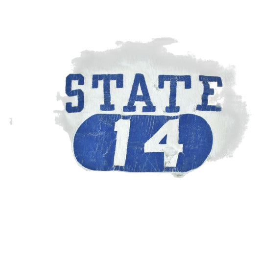 Vintage 1970s 1980s West Chester State University Collegiate T-Shirt Men's Medium