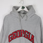 Vintage University of Georgia Sweatshirt Mens XL Grey Steve & Barry's Hoodie