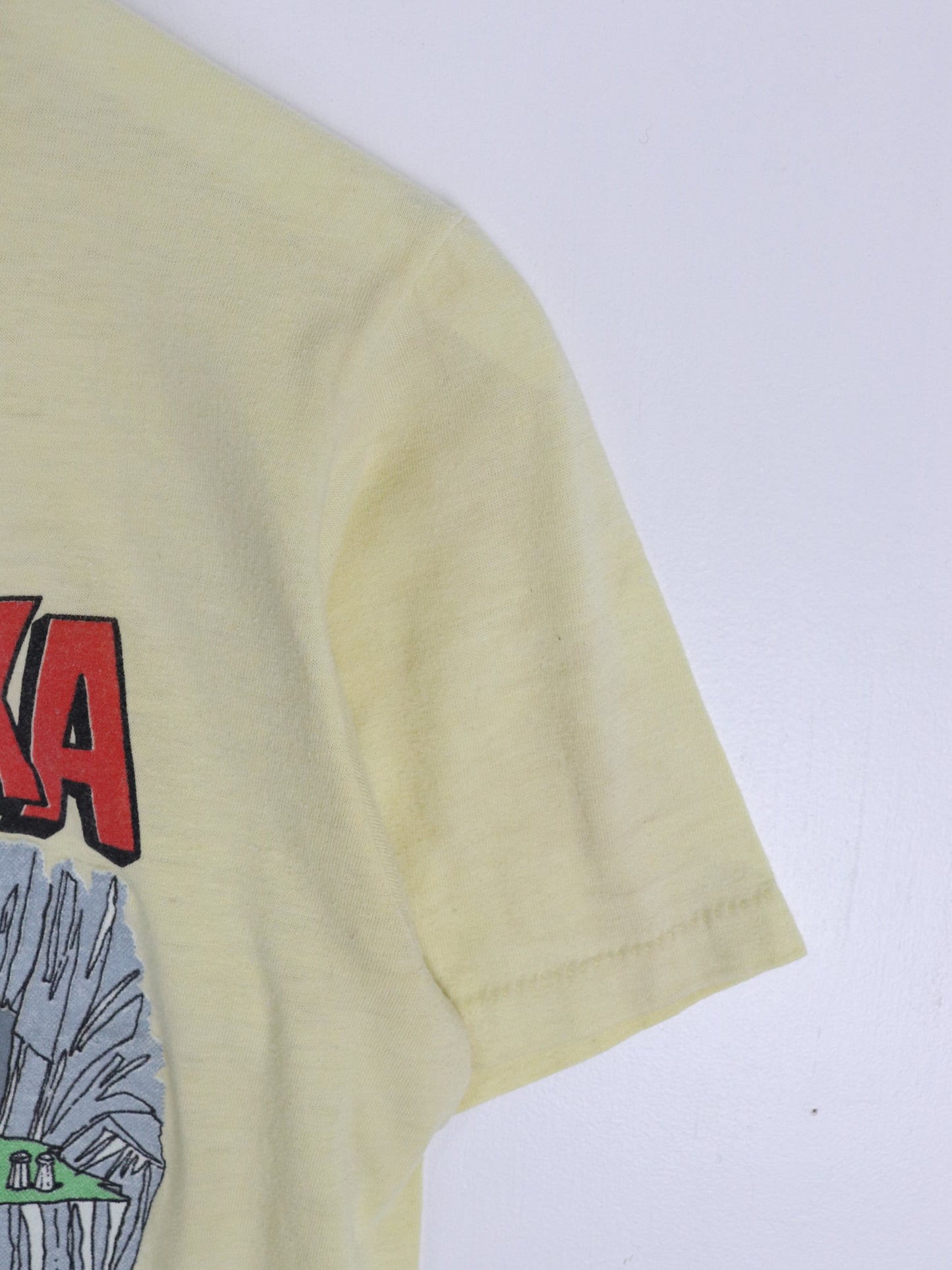 Vintage Alaska T Shirt Fits Mens Small Yellow 80s Hiking Funny