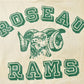 Vintage 1970s Roseau Rams Raglan Football Jersey T-Shirt Men's Large