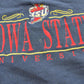 Vintage 1990s Iowa State University Cyclones Embroidered Collegiate Crewneck Sweater Men's L / Made In USA / 90s Streetwear / NCAA