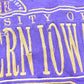 Vintage 1990s University Of Northern Iowa Panthers Embroidered Collegiate Crewneck Men's L