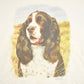Vintage 1990's Cocker Spaniel Souvenir Dog T-Shirt Mens XL